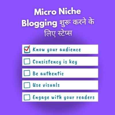 micro niche blogging steps