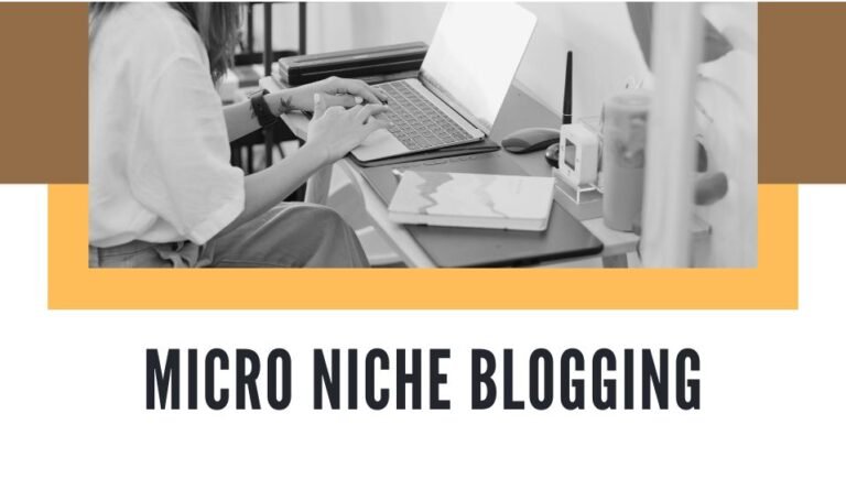 micro niche blogging kya hai